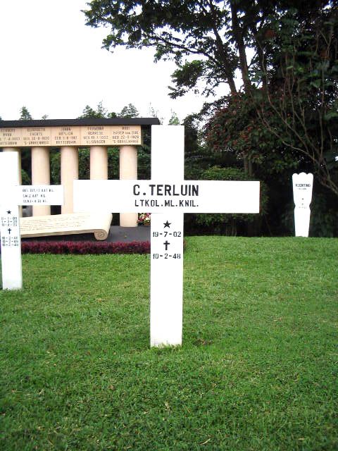 terluin.c.2005.jpg