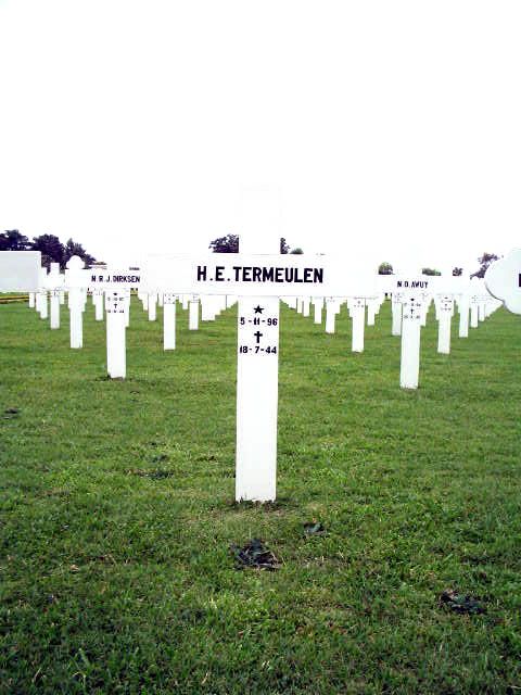 termeuleun.h.e.2005.jpg