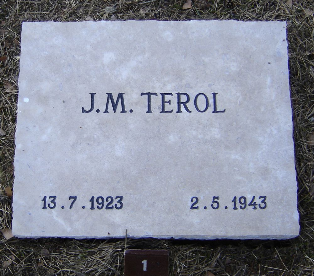 terol.j.m.2010.jpg