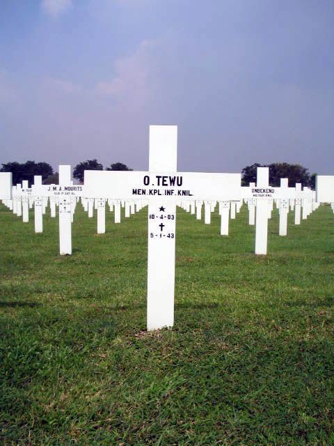 tewu.o.2005.jpg