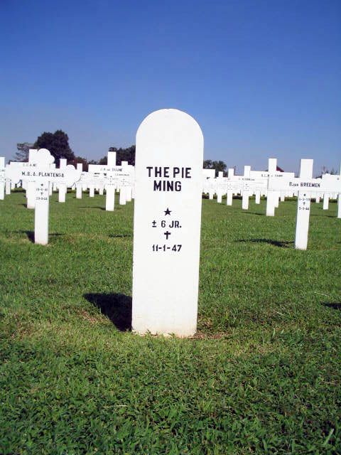 the pie ming.2005.jpg