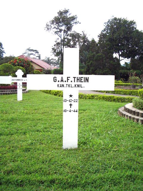 thein.g.a.f.2005.jpg