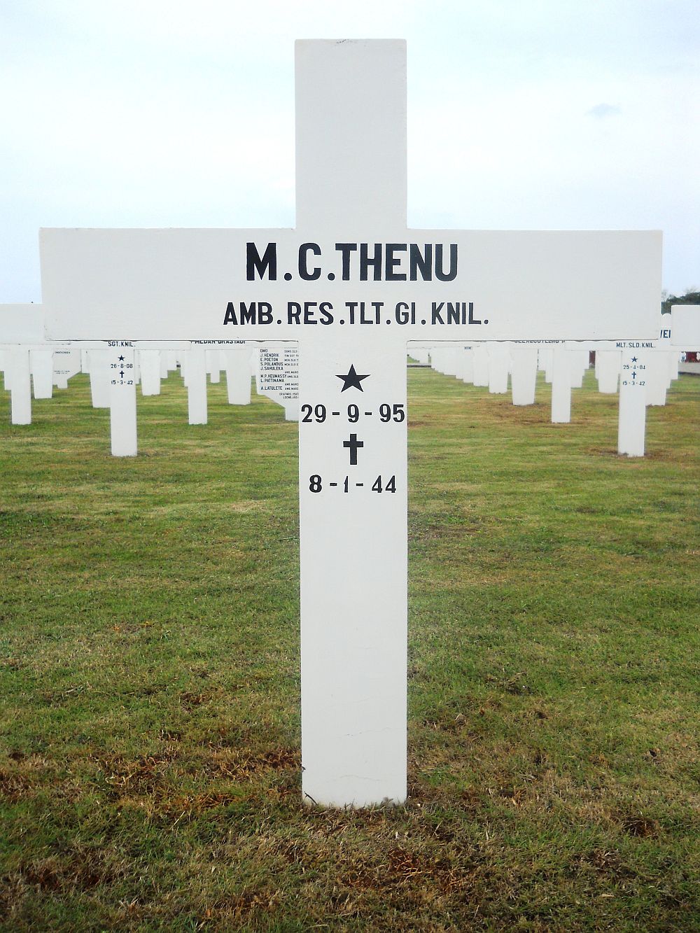 thenu.m.c.2011.jpg