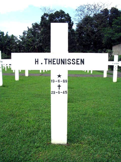 theunissen.h.2005.jpg