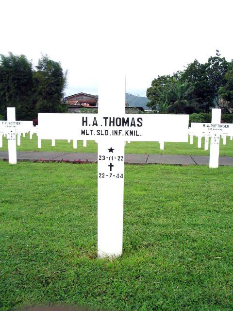 thomas.h.a.2005.jpg