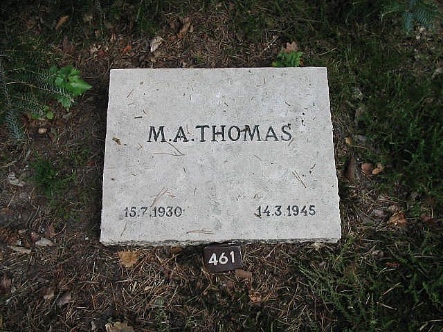 153519.jpg