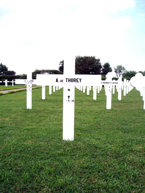 thorey.de.a.2005.jpg
