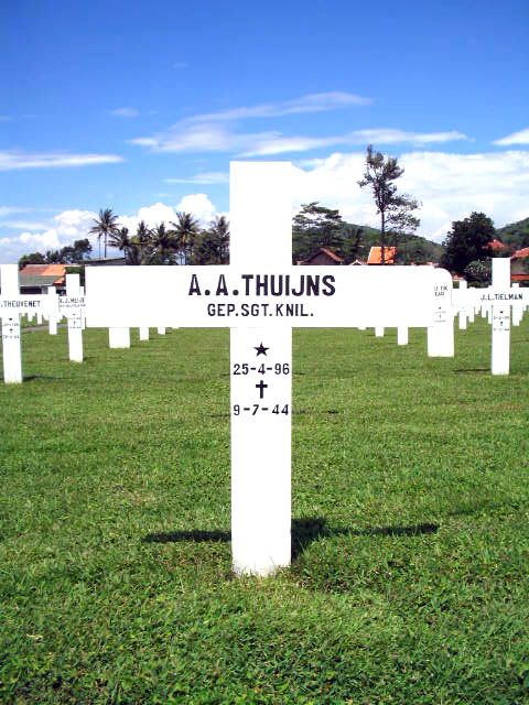 thuijns.a.a.2005.jpg