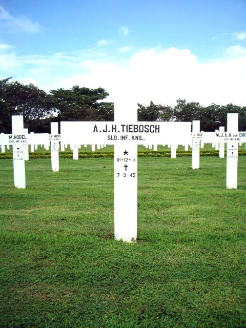 tiebosch.a.j.h.2005.jpg