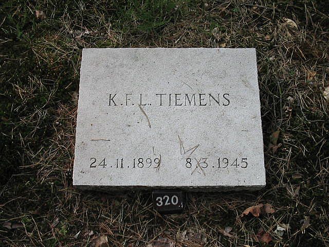 153880.jpg