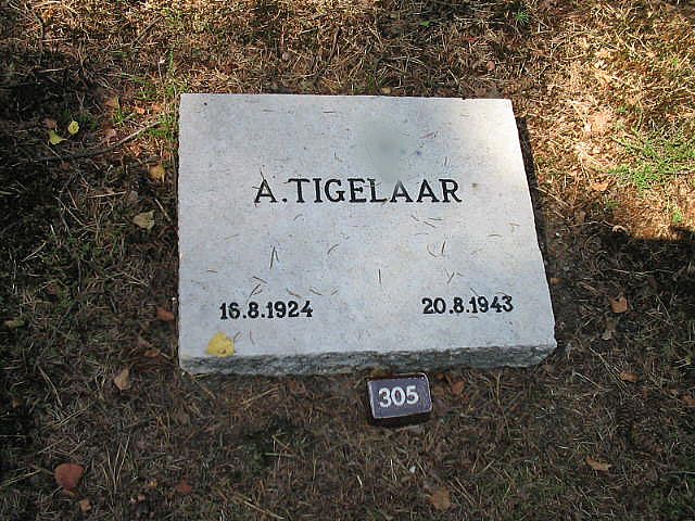 A.Tigelaar.jpg