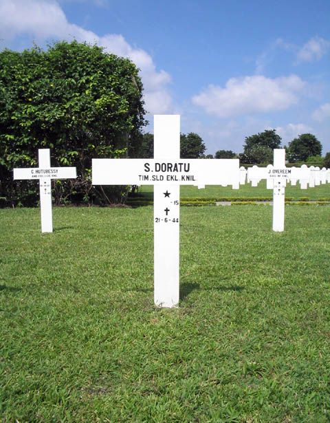 doratu.s.2005.jpg
