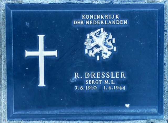 Dressler.R.2008.jpg