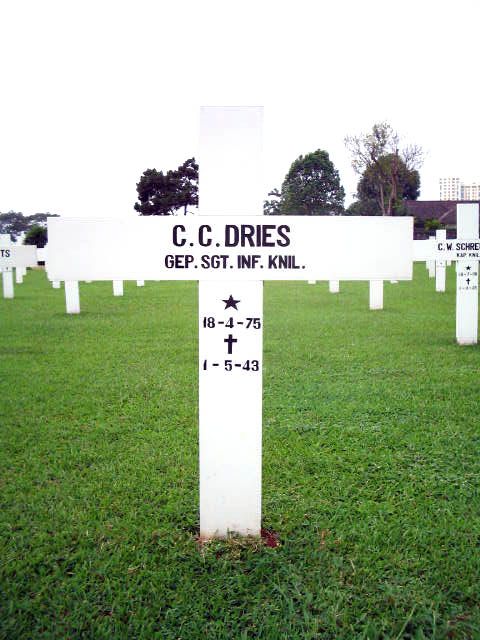 dries.c.c.2005.jpg