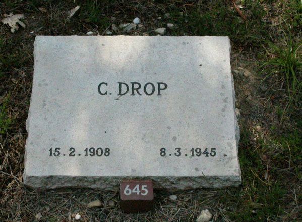 C.Drop.jpg