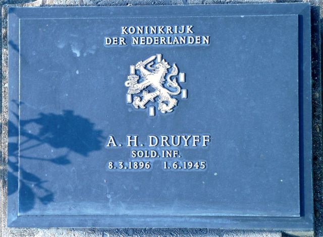 Druyff.A.H.2008.jpg
