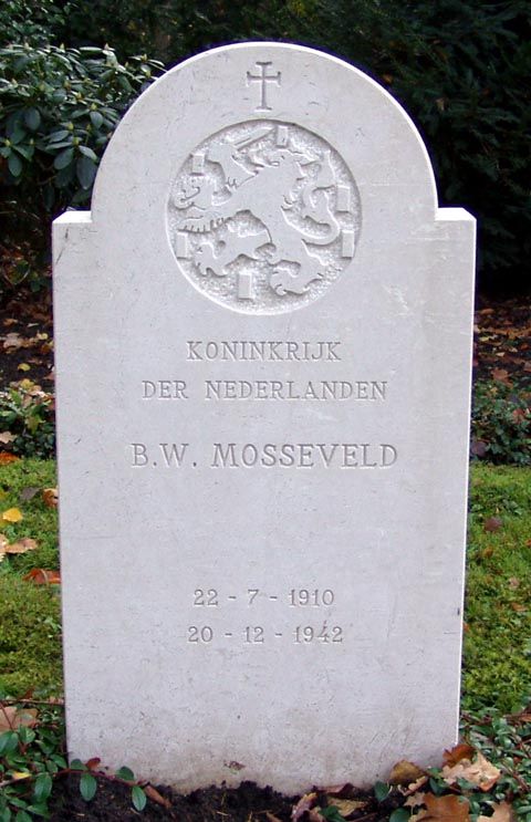 Mosseveld B.W.jpg