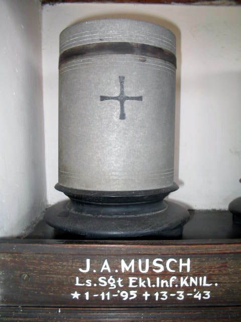 musch.j.a.2005.jpg