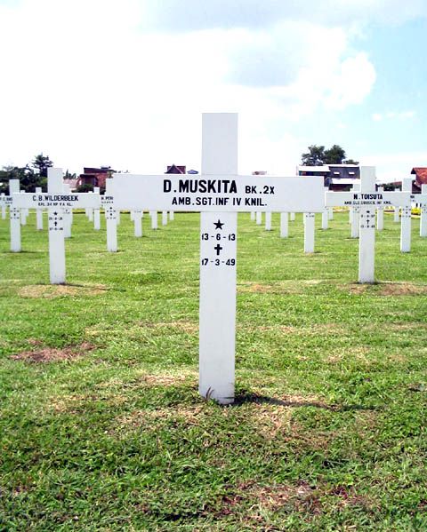 muskita.d.2005.jpg