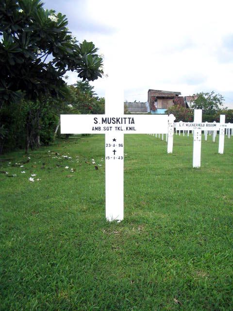 muskitta.s.2005.jpg
