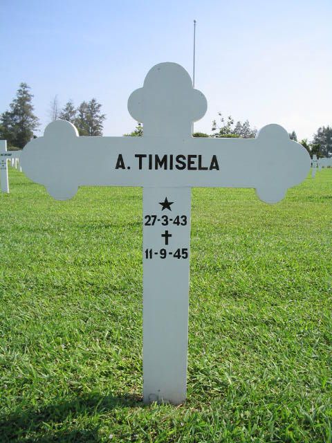 timisela a.2004.jpg