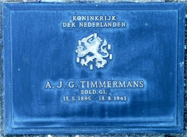 Timmermans.A.J.G.2008.jpg