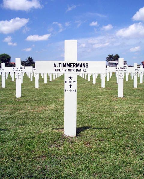 timermans.a.2005.jpg