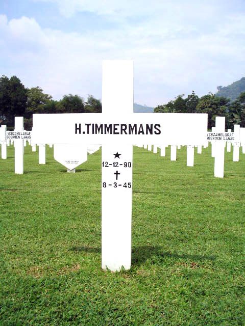timmermans.h.2005.jpg