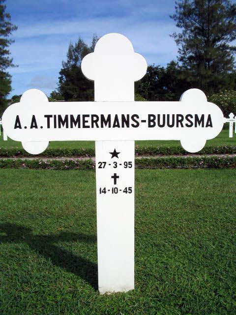 timmermans buursma.a.a.2004.jpg