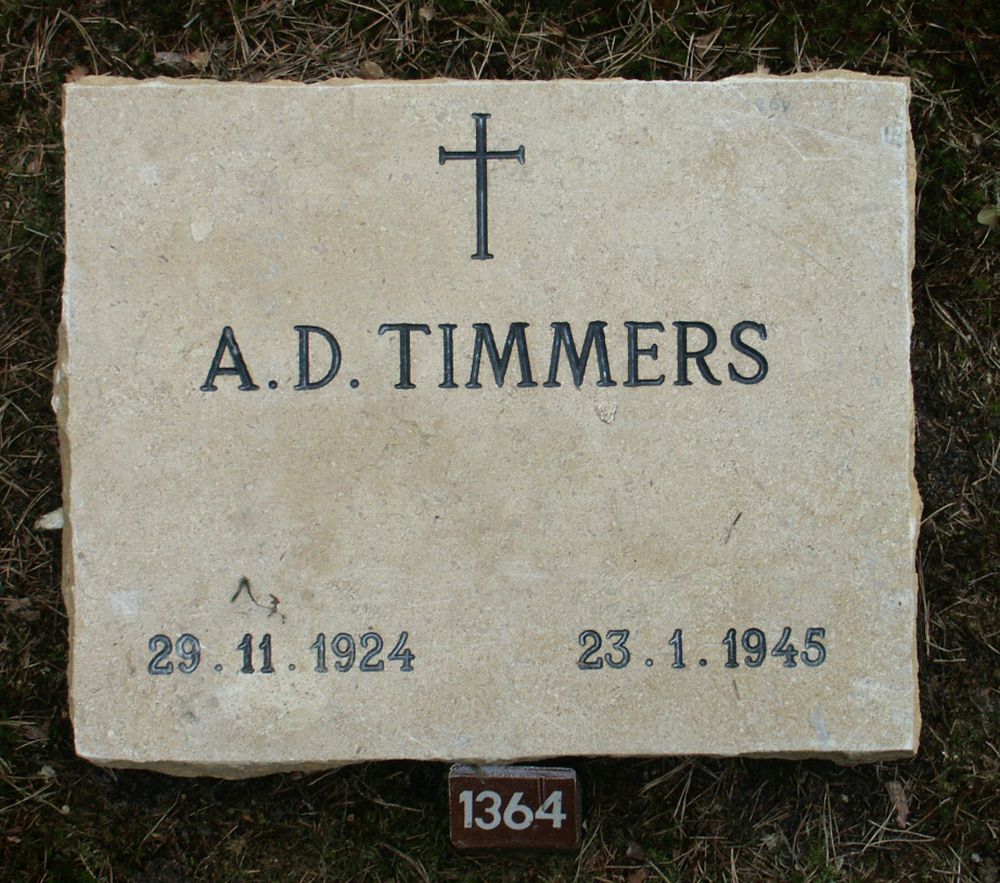 timmers.a.d.2006.jpg