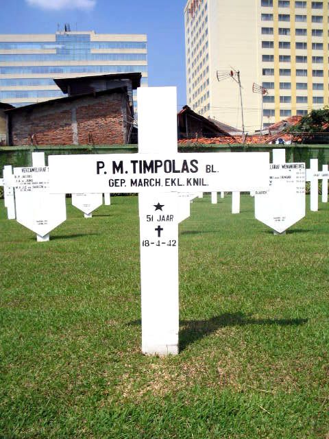 timpolas.p.m.2005.jpg
