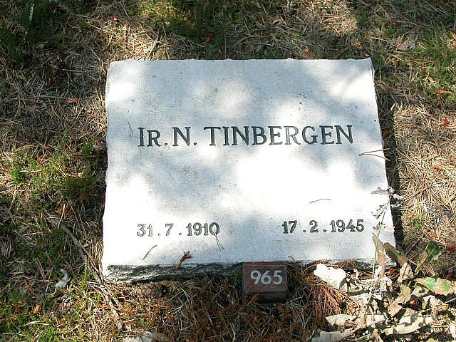 Ir.N.Tinbergen.jpg