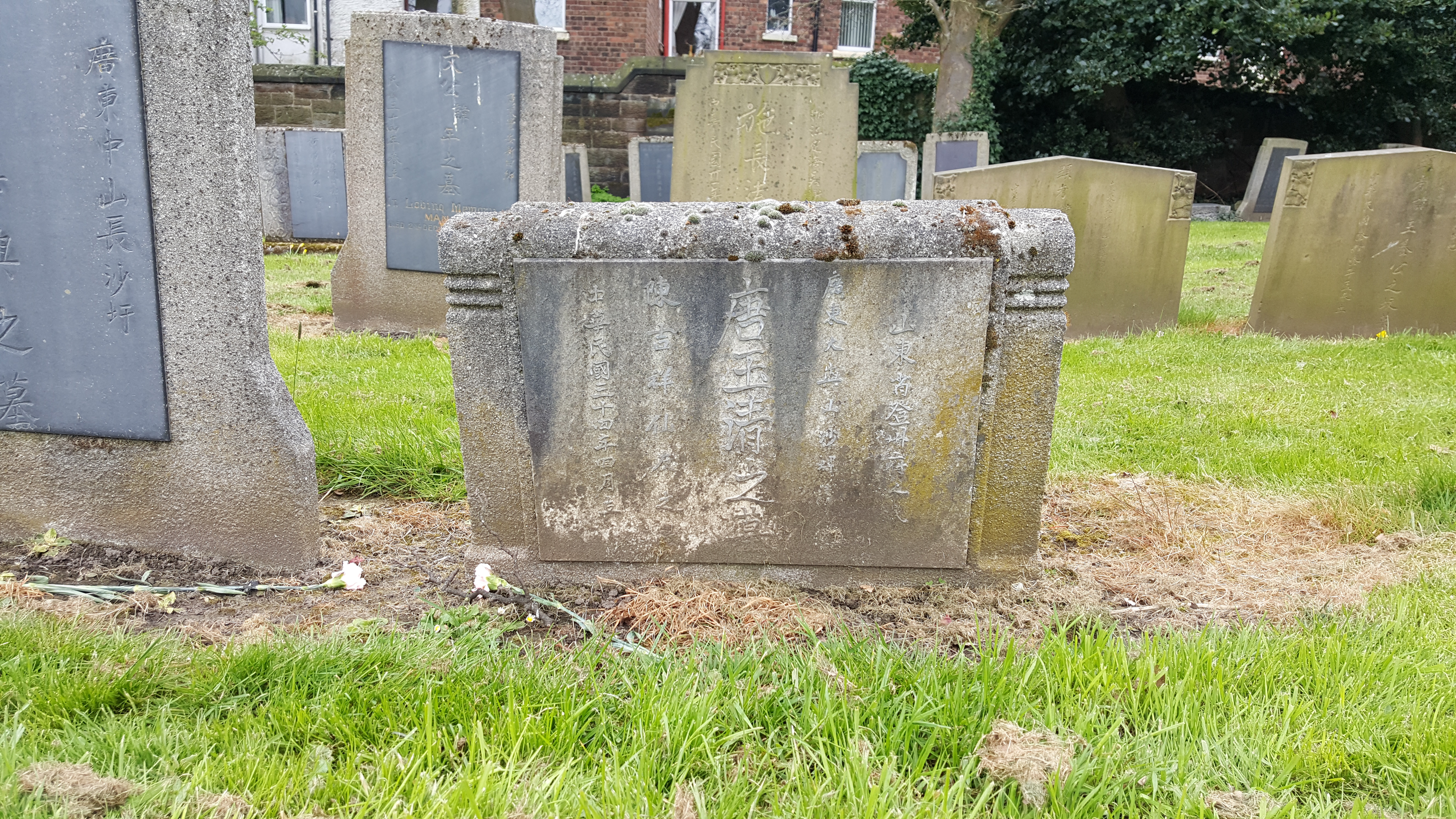 1564368149_14215.jpg