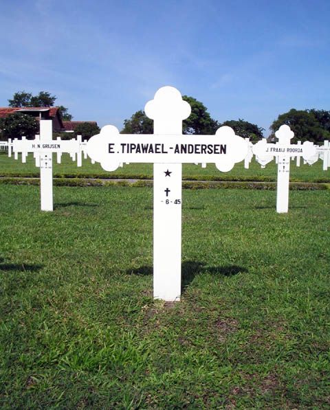 tipawael andersen.e.2005.jpg