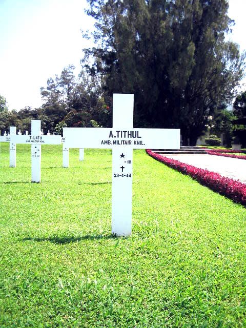 tithul.a.2005.jpg