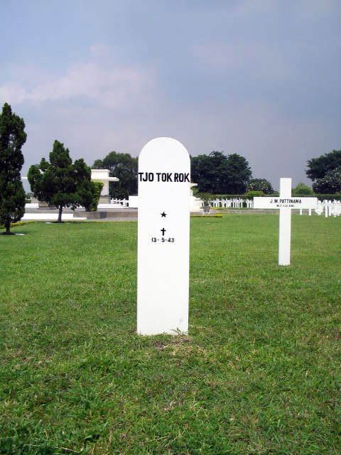 tjo tok rok.2005.jpg