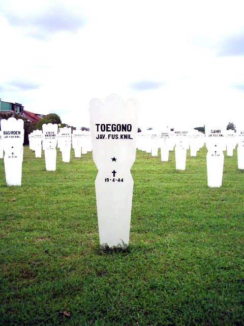 toegono.2005.jpg