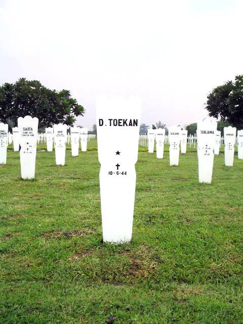 toekan.d.2005.jpg