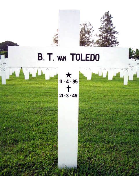 toledo van b.t.2004.jpg