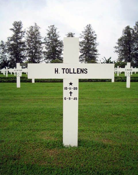 tollens h.jpg