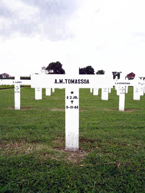 tomassoa.a.m.2005.jpg