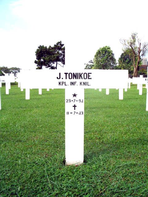 tonikoe.j.2005.jpg