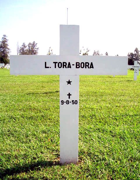 tora bora l.2004.jpg