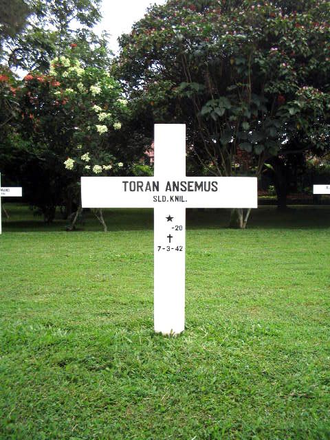 toran.ansemus.2005.jpg