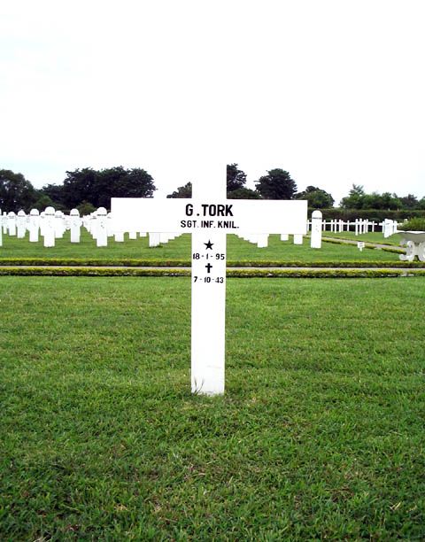 tork.g.2005.jpg