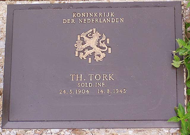 tork.t.2006.jpg