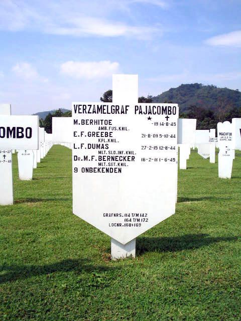 dumas.l.f.2005.jpg