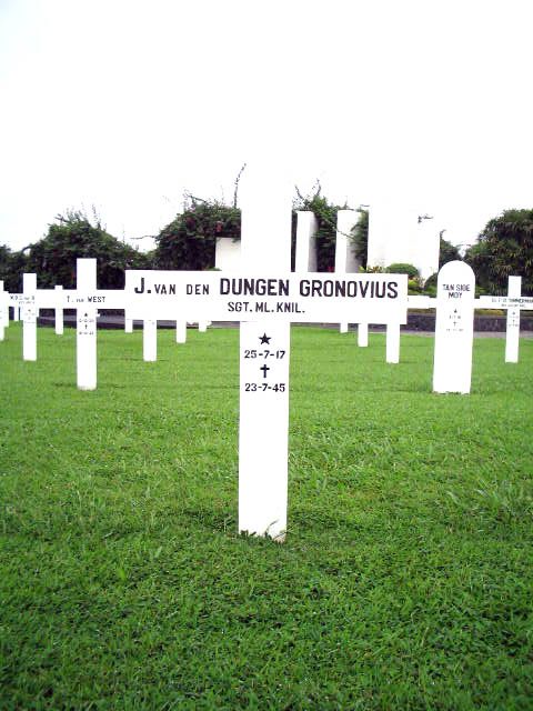 dungen.gronovius.v.den.j.2005.jpg