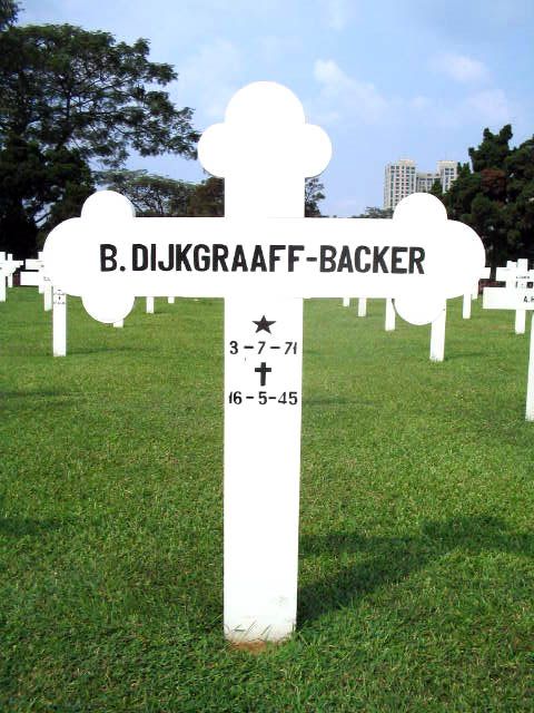 dijkgraaff.backer.b.2005.jpg
