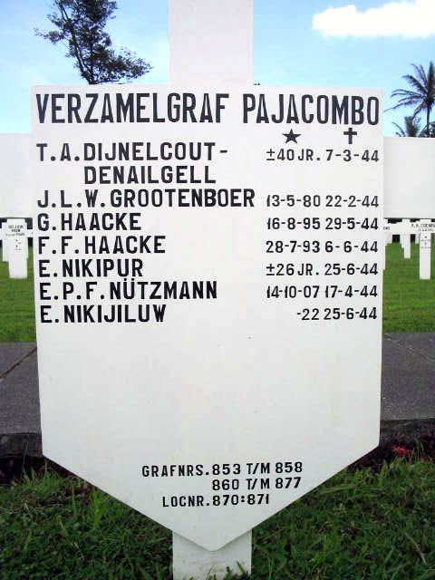 dijnelcout.denailgell.t.a.2005.jpg